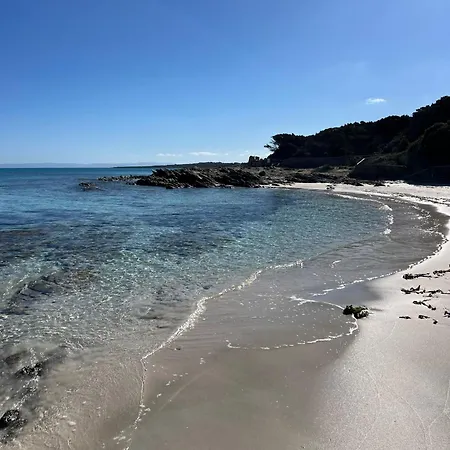 Turquoise Horizon *
