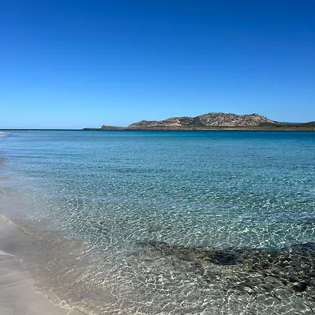 Turquoise Horizon * Stintino